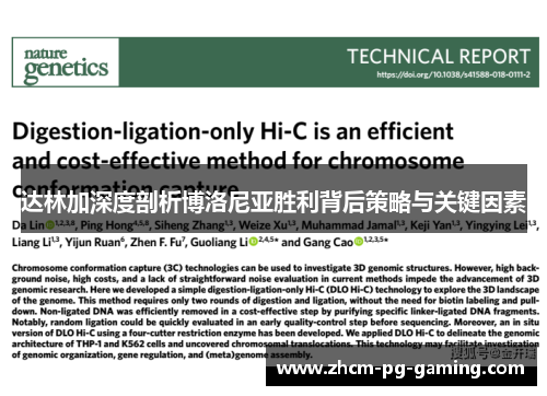 达林加深度剖析博洛尼亚胜利背后策略与关键因素