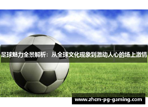 足球魅力全景解析：从全球文化现象到激动人心的场上激情